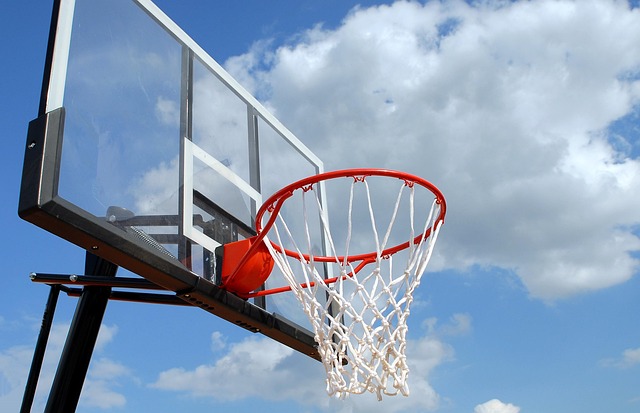 basketball, women, Oregon Ducks, Oregon, team, hoop