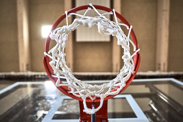 basketball, women, Oregon Ducks, Oregon, team, hoop