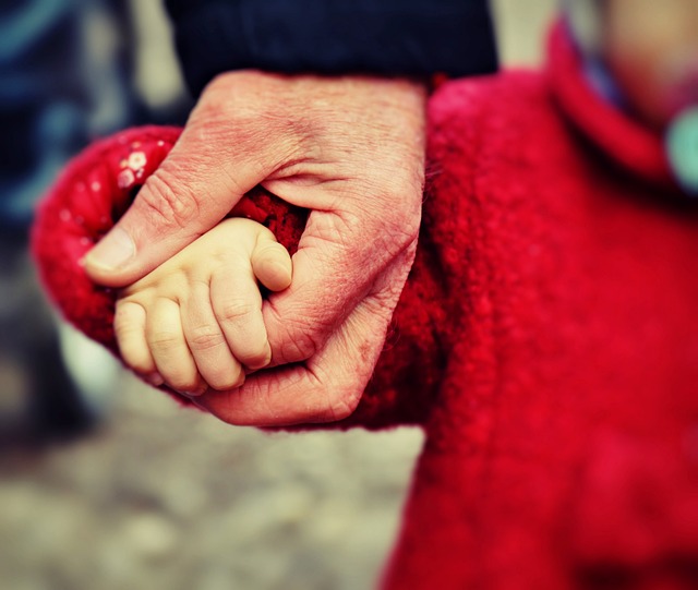 Child, support, Oregon, family, law, attorney, custody