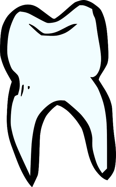 dentist,smile,white teeth