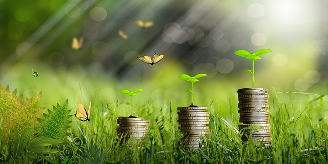 equipment, finance, business, productivity, tools, growth
