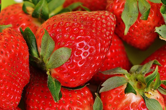 farmers market, produce, vegetables, fresh, organic, stalls