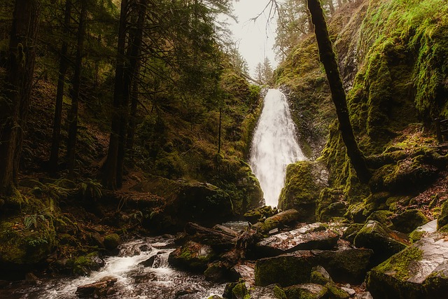 fees, attorney, Oregon, costs, probate, explanation
