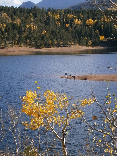 Fishing, Rivers, Lakes, Nature, Outdoors, Angler