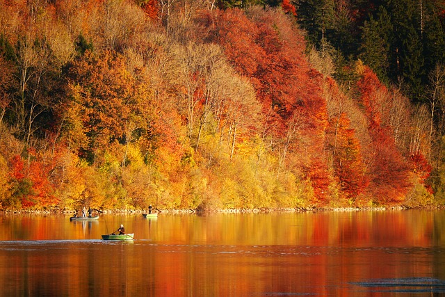 Fishing, Rivers, Lakes, Nature, Outdoors, Angler