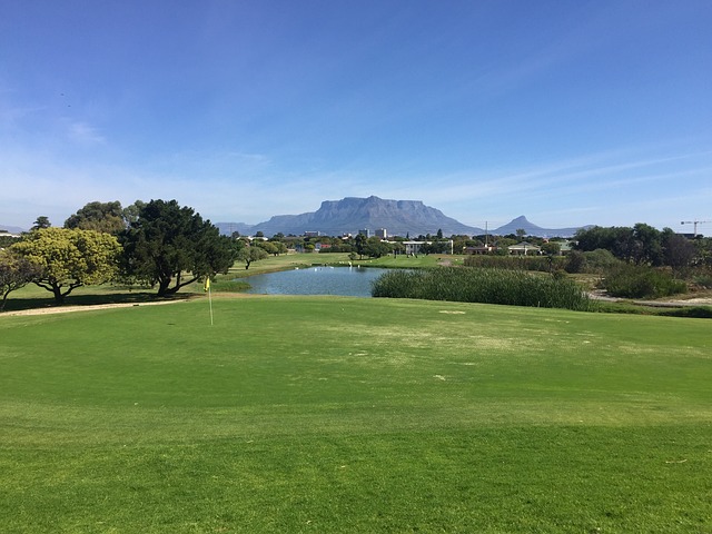 Golf, course, green, fairway, clubs, outdoors