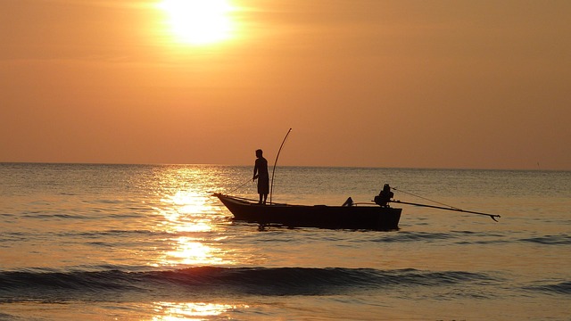 hiking, kayaking, biking, fishing, camping, wildlife