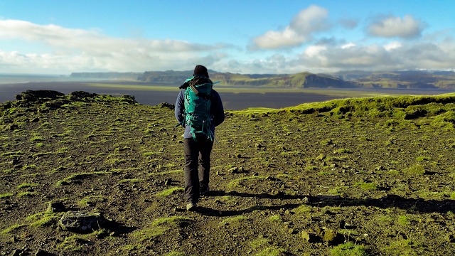 hiking, kayaking, biking, fishing, camping, wildlife