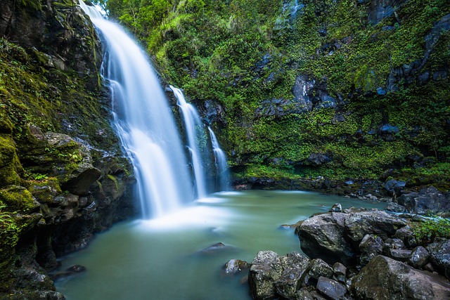 Hiking, Trails, Forest, Mountains, Waterfalls, Nature