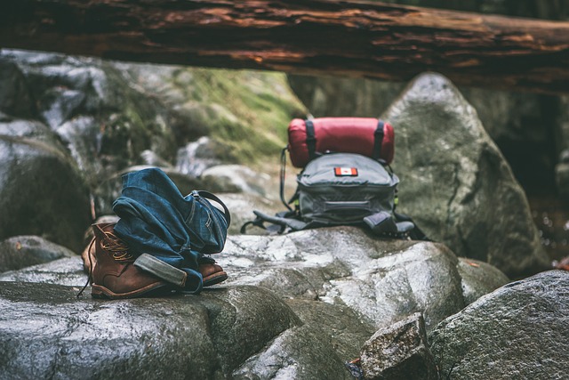 Hiking, Trails, Forest, Mountains, Waterfalls, Nature