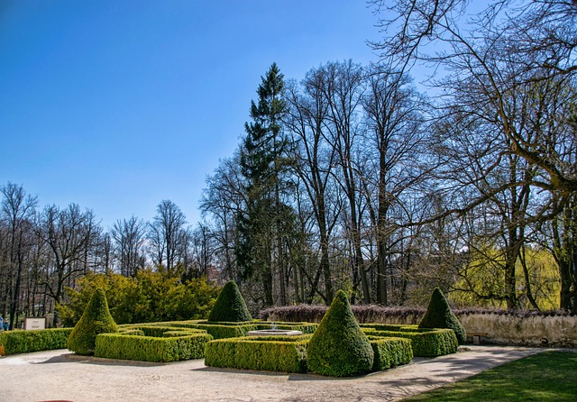 Parks, Gardens, Nature, Flowers, Trees, Greenery