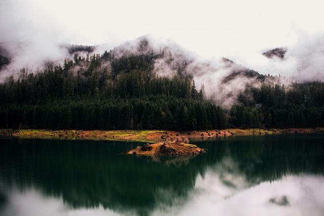 process, Oregon, probate, understanding, court, estate