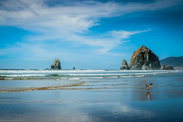 process, Oregon, probate, understanding, court, estate