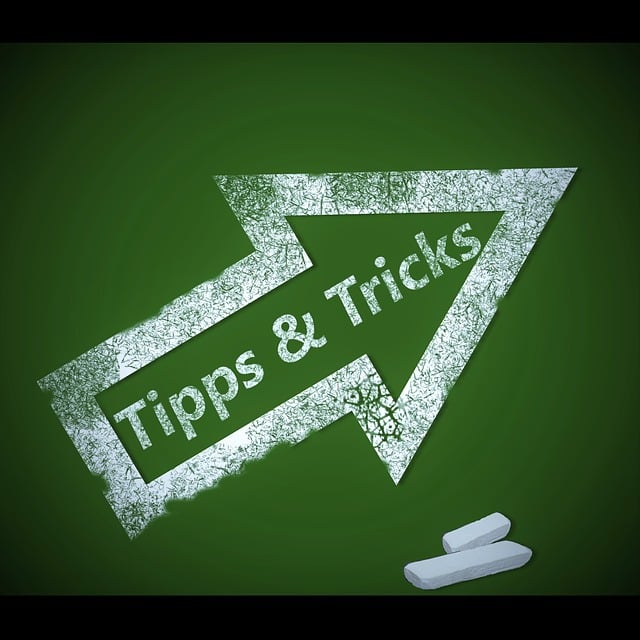 renters, security, home, affordable, solutions, tips