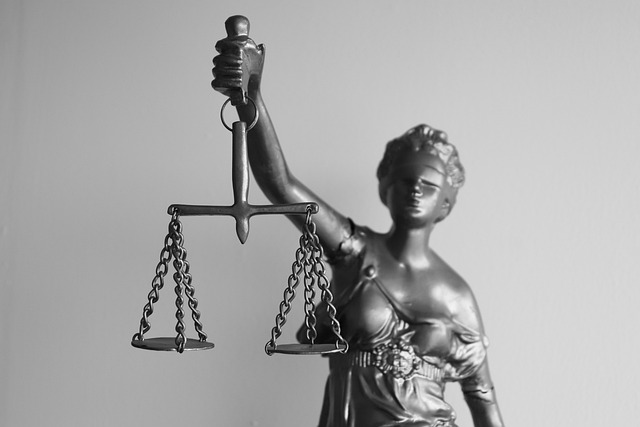 Rights, responsibilities, support, legal, duties, obligations