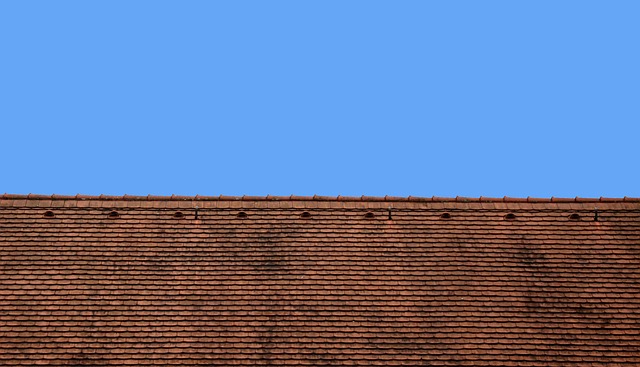 roofline,roof,shingle roof,tile roof,