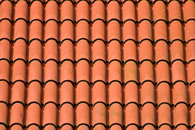 roofline,roof,shingle roof,tile roof,