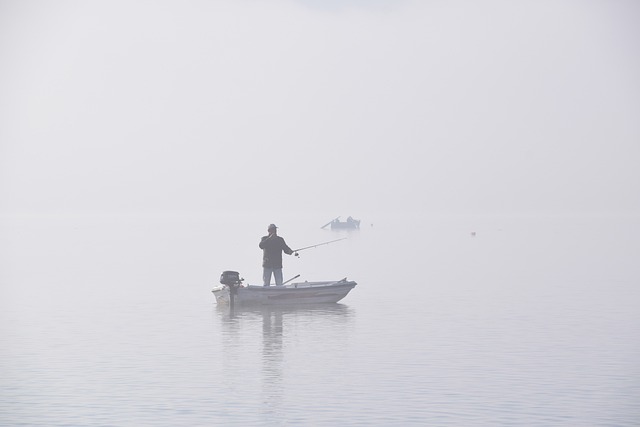 Salmon, fishing, Lane, river, nature, outdoors