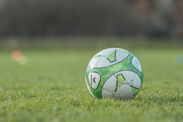 soccer, Oregon Ducks, Oregon, field, team, ball