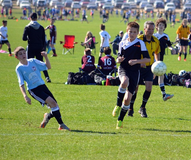 soccer, Oregon Ducks, Oregon, field, team, ball