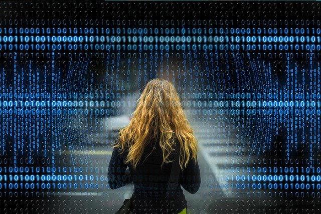 background check, reliability, service comparison, privacy, accuracy, compliance