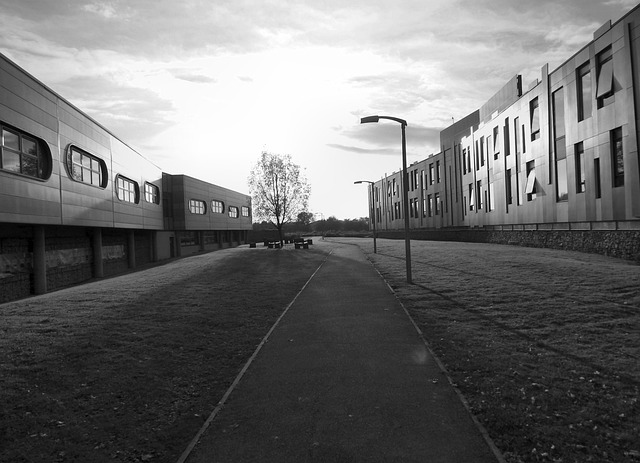 business, office, commercial, building, workplace, air