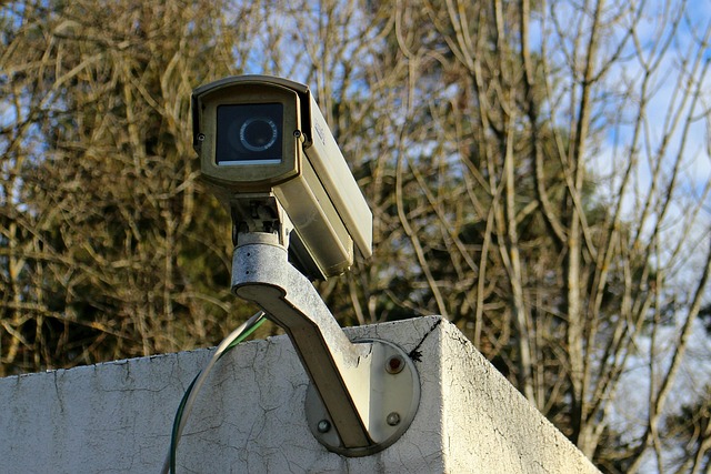 camera, security, home, select, guide, choose