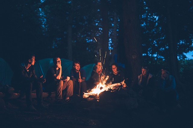 camping, tents, campfire, forest, nature, outdoors