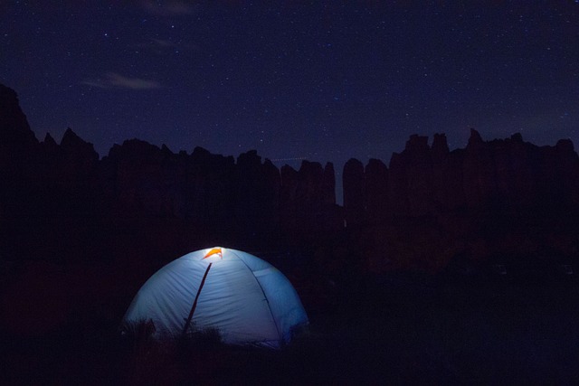 camping, tents, campfire, forest, nature, outdoors