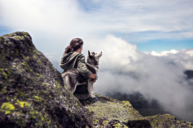 climbing, rocks, adventure, fitness, bouldering, nature