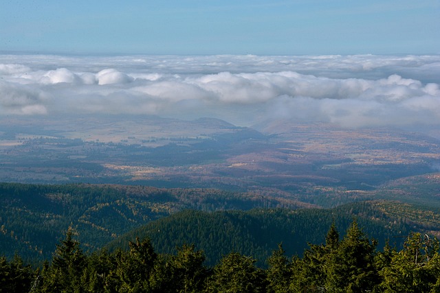 contempt, court, compliance, order, attorney, Oregon