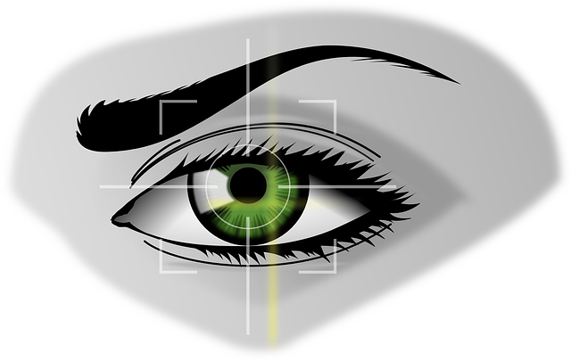 finance, screening, compliance, security, fraud, verification