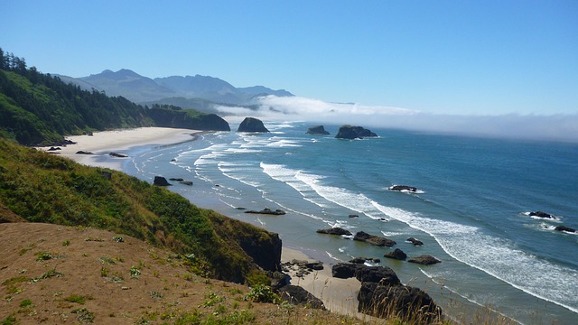 hearings, Oregon, legal, process, commitment, navigate
