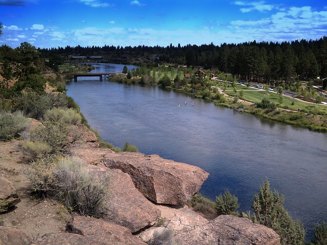 hearings, Oregon, legal, process, commitment, navigate