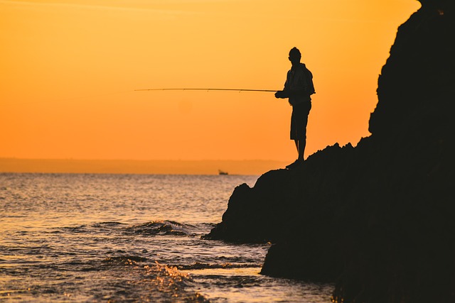 hiking, kayaking, biking, fishing, camping, wildlife