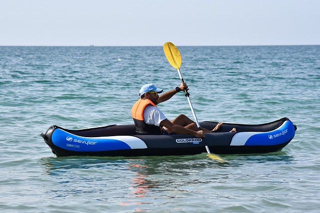 kayaking, river, paddle, nature, adventure, wildlife