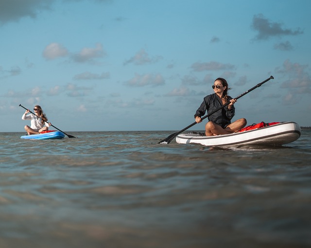 kayaking, river, paddle, nature, adventure, wildlife