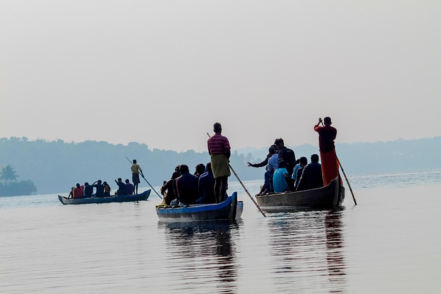 kayaking, river, paddle, nature, adventure, wildlife