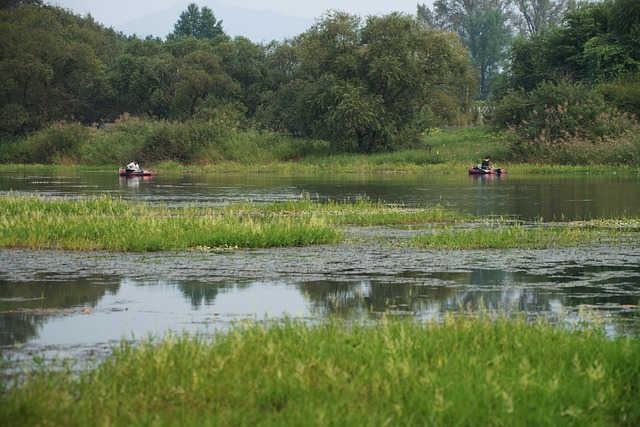 McKenzie, fishing, river, bass, flyfishing, nature