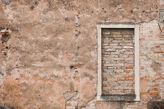 mold, moisture, house, damage, fungus, walls
