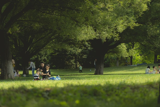parks, gardens, nature, trails, flowers, picnic