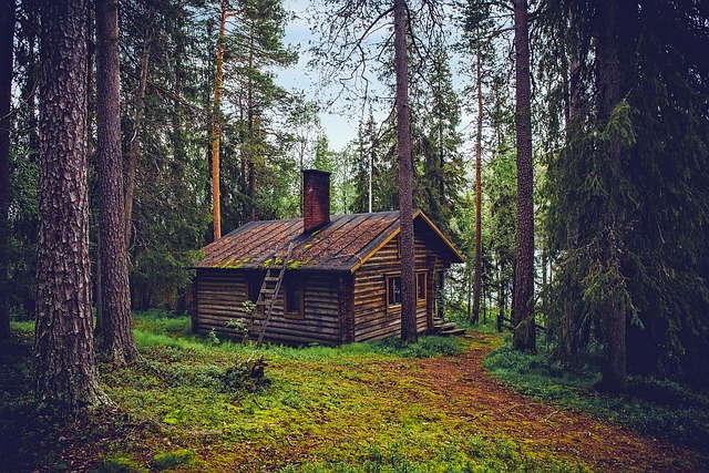 prevention, ventilation, humidity, cleaning, home, air