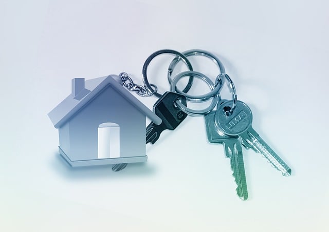 rental, tenant, checks, credit, history, landlord