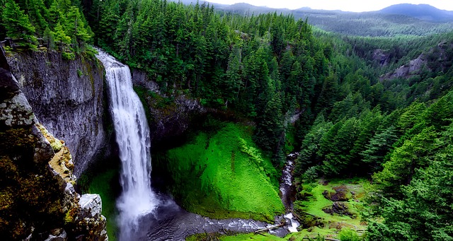 rights, Oregon, commitment, legal, protection, individual