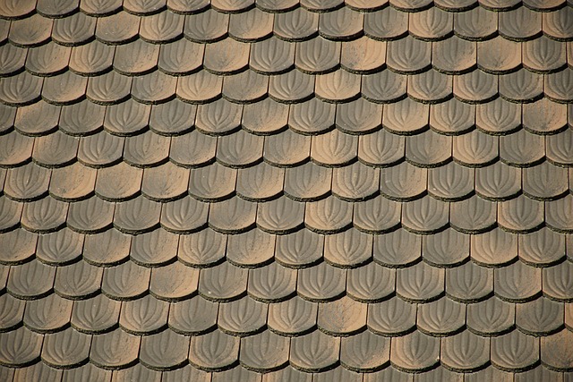 roofline,roof,shingle roof,tile roof,