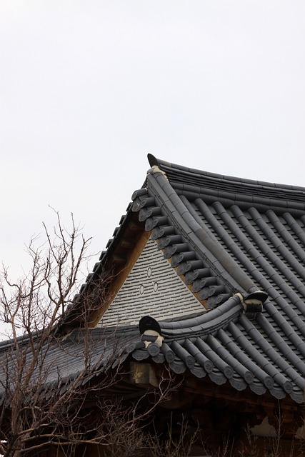 roofline,roof,shingle roof,tile roof,