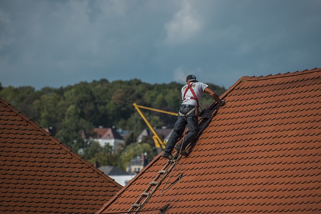 roofline,roof,shingle roof,tile roof,