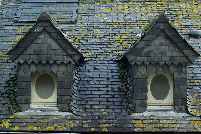 roofline,roof,shingle roof,tile roof,