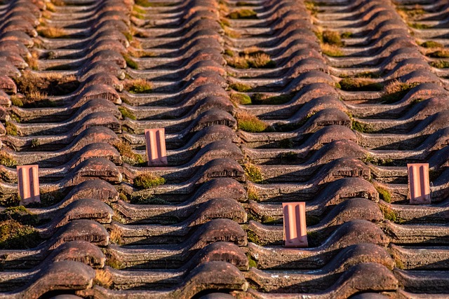 roofline,roof,shingle roof,tile roof,