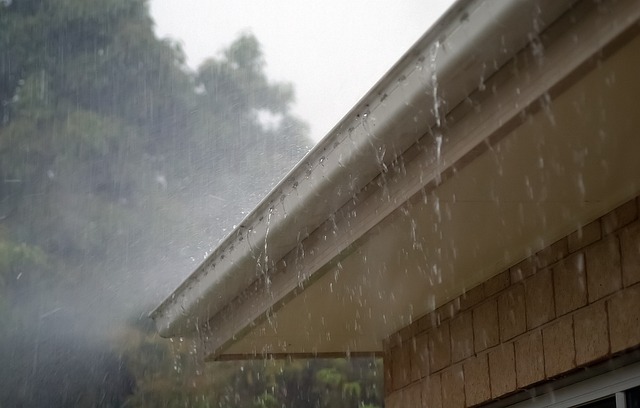roofline,roof,shingle roof,tile roof,